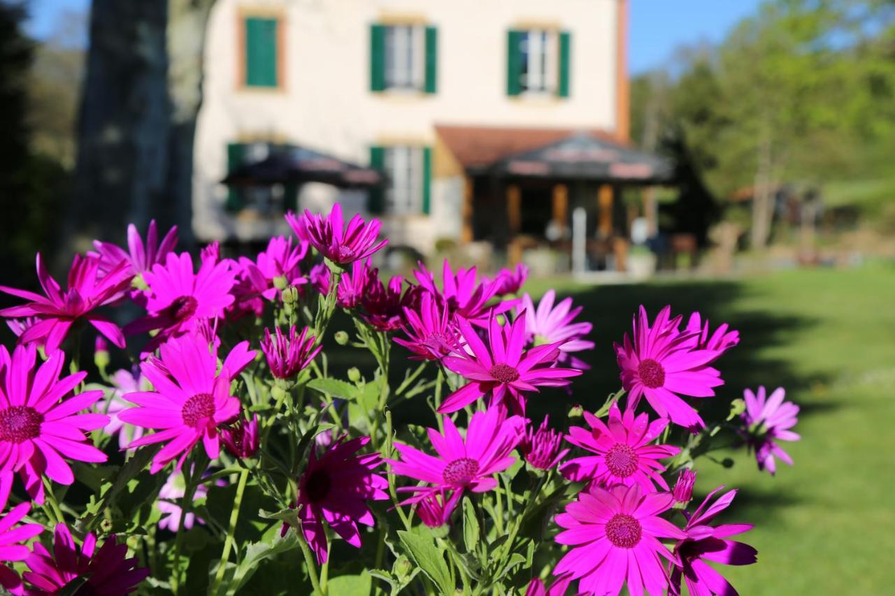 Bed and Breakfast Le Bonnet De Nuit Chalmoux Экстерьер фото
