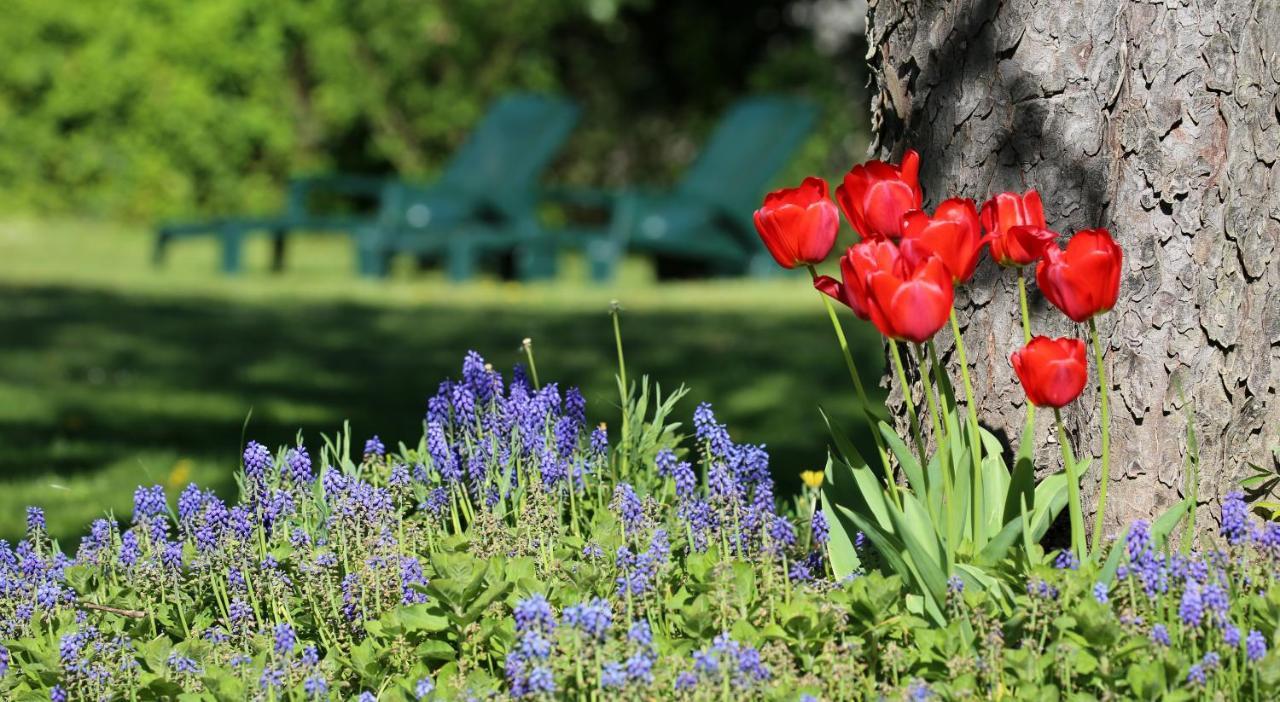 Bed and Breakfast Le Bonnet De Nuit Chalmoux Экстерьер фото